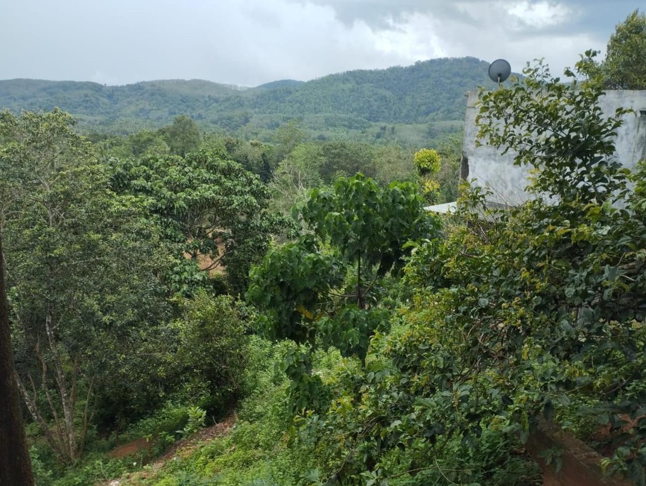 Bogala Village Eco Resort Kegalle Exteriér fotografie