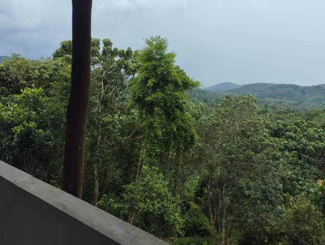 Bogala Village Eco Resort Kegalle Exteriér fotografie